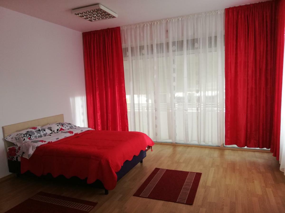Pensiunea La Safari Németvásár Kültér fotó