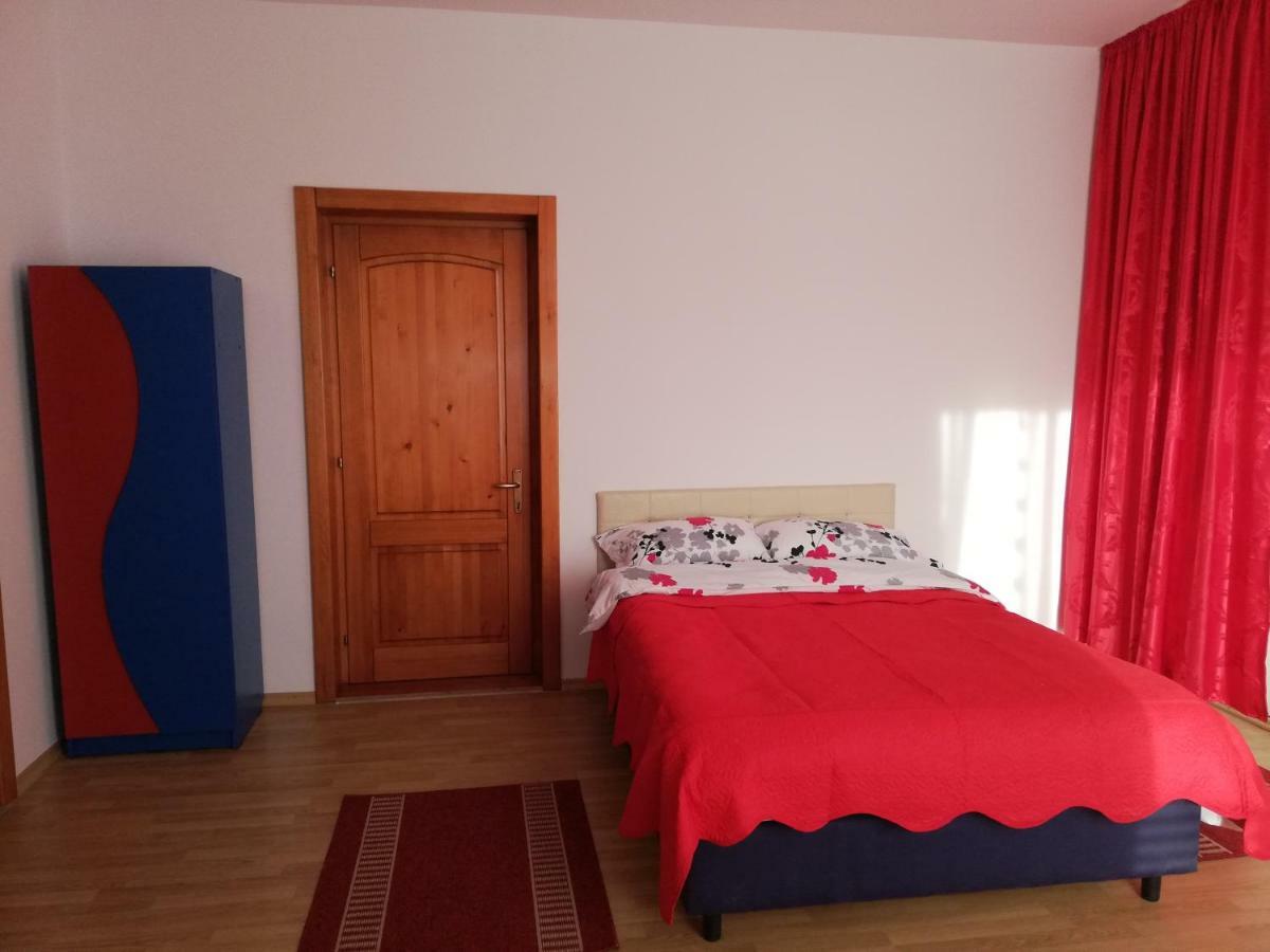 Pensiunea La Safari Németvásár Kültér fotó