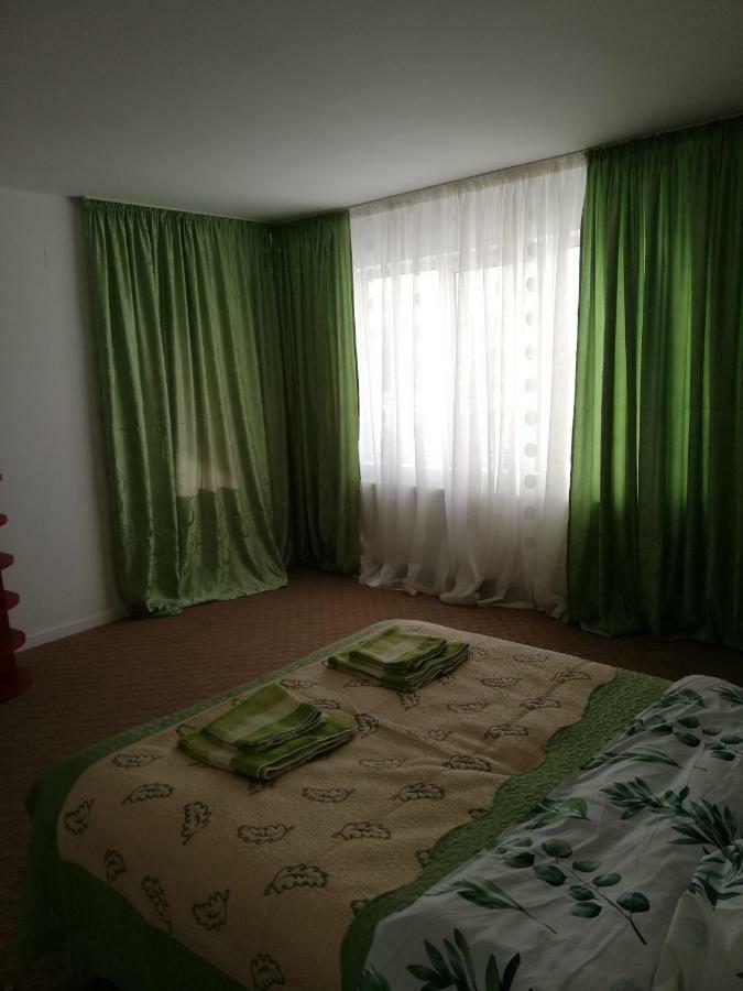 Pensiunea La Safari Németvásár Kültér fotó