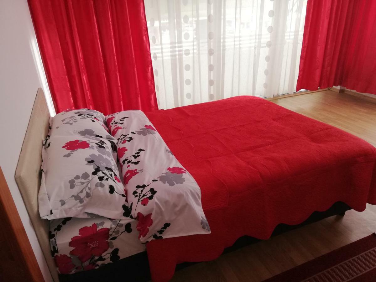 Pensiunea La Safari Németvásár Kültér fotó