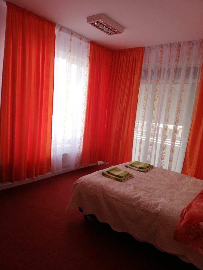 Pensiunea La Safari Németvásár Kültér fotó